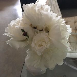 Meet your Posher, Connie